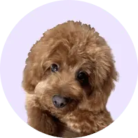 Ted